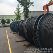 架空電纜與高壓架空線 市場(chǎng)行情、優(yōu)質(zhì)廠家與產(chǎn)品圖鑒